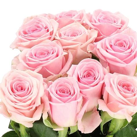 heaven rose price list